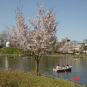 https://mimatsuso-ryokan.hokkaidohotelsjapan.com