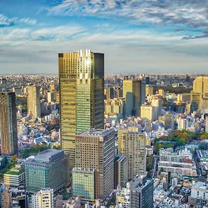 Hotel The Ritz-carlton, Tokio