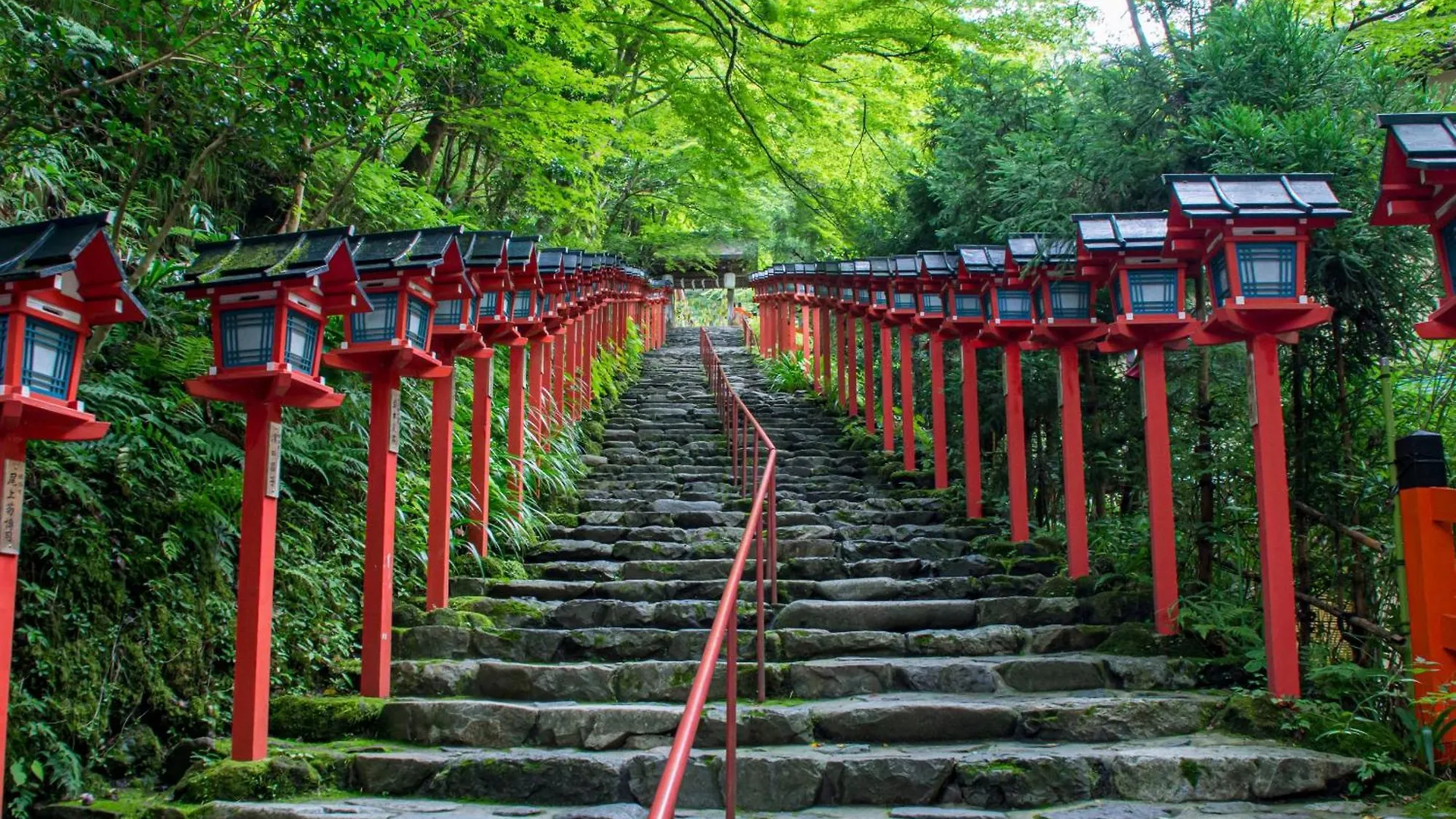 The Blossom Kyoto Japan