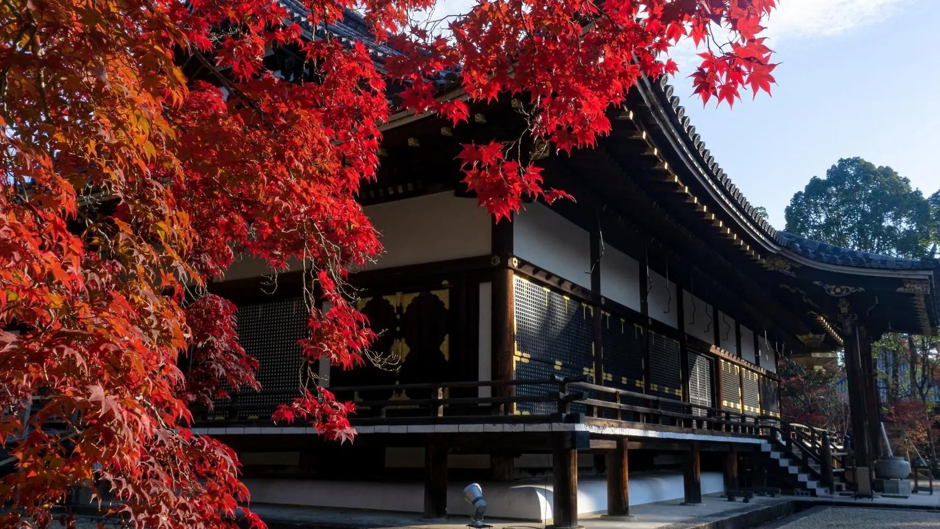 The Blossom Kyoto