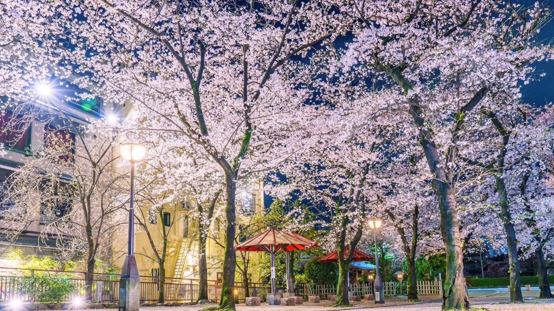 The Blossom Kyoto 4*,  Japan